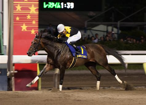 大井の誘導馬セイントメモリーが17歳で死す 現役時代は重賞6勝 .